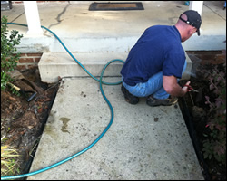 Dead animal removal Herndon VA